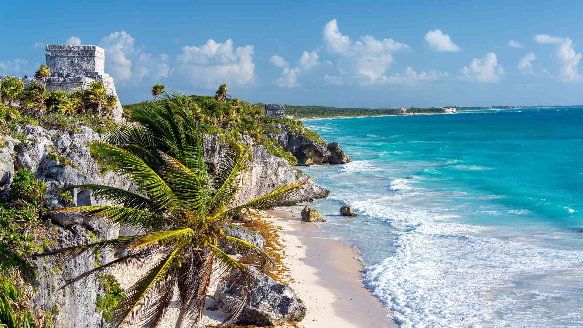 Top Tours in Tulum